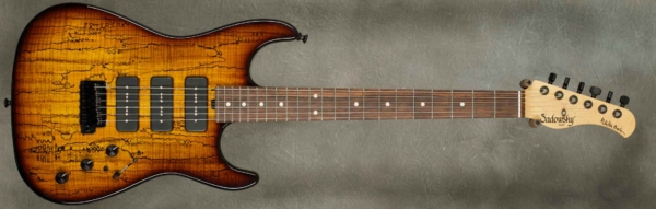 MODEL: Walter Becker,
SERIAL: #7339,
FINISH: '59 Burst,
BODY: Chambered Alder with Master Grade Spalted Flame Maple Top,
WEIGHT: 7.04 lbs,
NECK: Maple with thin matte nitro finish and 12" radius, 1 11/16" nut width,
FINGERBOARD: Master Grade Brazilian Rosewood,
HARDWARE: Black with Tremolo Bridge,
PICKUPS: 3 Lollar P90 pickups,
PREAMP: Sadowsky buffer/boost preamp